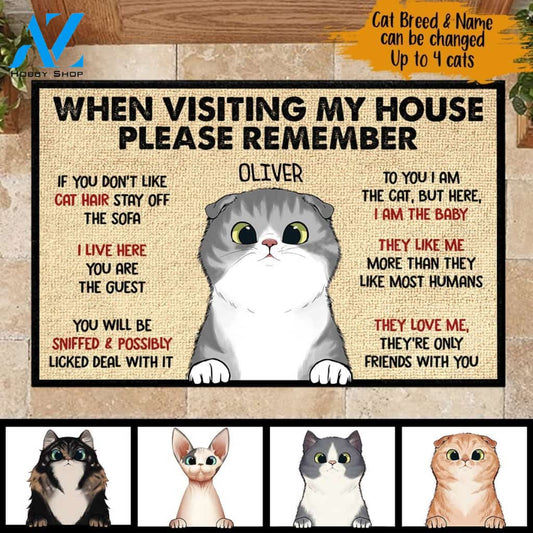 When Visiting My House Please Remember - Funny Personalized Cat Doormat | Welcome Mat | House Warming Gift