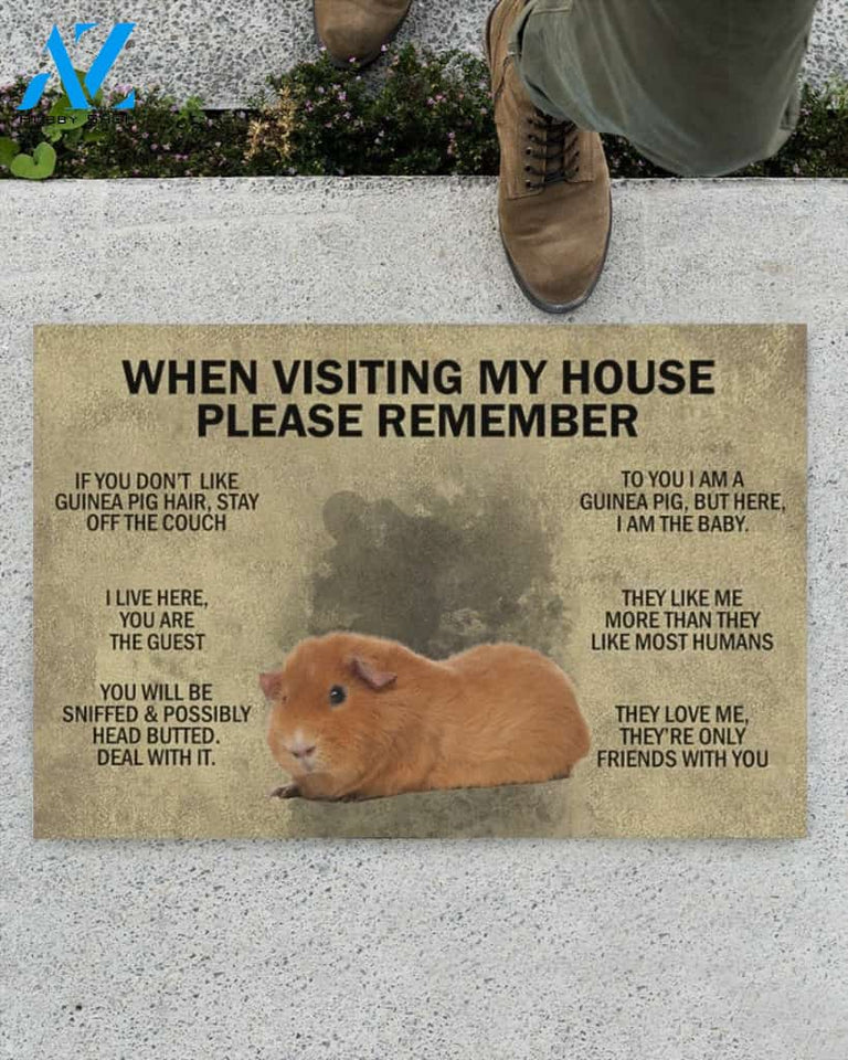 When Visiting My House Please Remember - Guinea Indoor And Outdoor Doormat Gift For Guinea Lovers Birthday Gift Decor Warm House Gift Welcome Mat