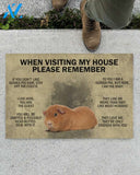 When Visiting My House Please Remember - Guinea Indoor And Outdoor Doormat Gift For Guinea Lovers Birthday Gift Decor Warm House Gift Welcome Mat