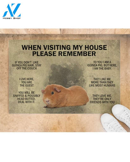 When Visiting My House Please Remember - Guinea Indoor And Outdoor Doormat Gift For Guinea Lovers Birthday Gift Decor Warm House Gift Welcome Mat