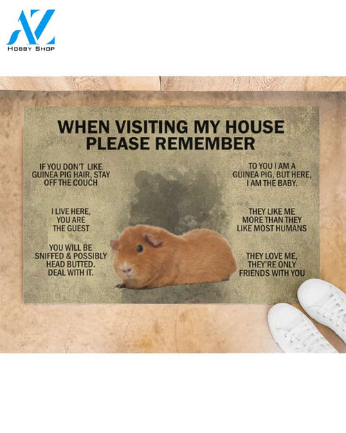 When Visiting My House Please Remember - Guinea Indoor And Outdoor Doormat Gift For Guinea Lovers Birthday Gift Decor Warm House Gift Welcome Mat