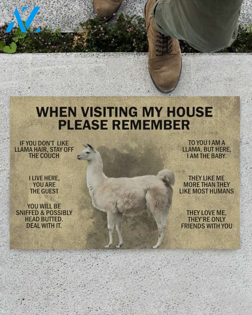 When Visiting My House Please Remember - Llama Indoor And Outdoor Doormat Gift For Llama Lovers Birthday Gift Decor Warm House Gift Welcome Mat