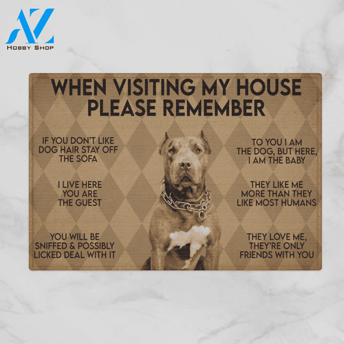 WHEN VISITING MY HOUSE PLEASE REMEMBER PB DOG Indoor And Outdoor Doormat Warm House Gift Welcome Mat Gift For PB Lovers