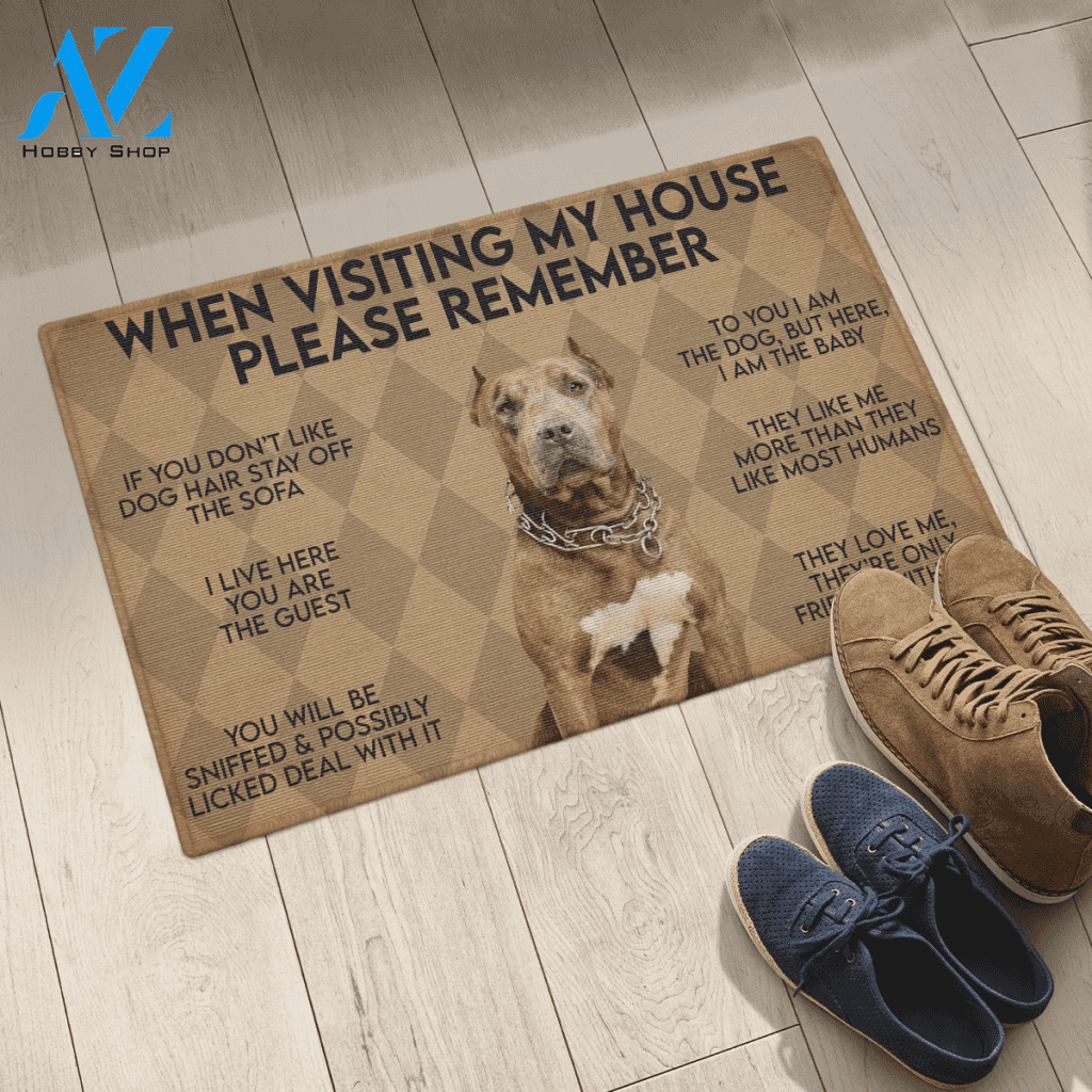 WHEN VISITING MY HOUSE PLEASE REMEMBER PB DOG Indoor And Outdoor Doormat Warm House Gift Welcome Mat Gift For PB Lovers