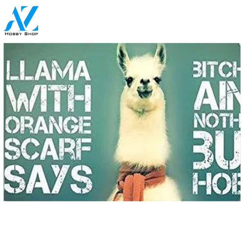 Winhome Llama Doormat Floor Mats Rugs Indoor and Outdoor Doormat Warm House Gift Welcome Mat Gift for Friend Family
