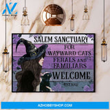 Witch & Cat Salem Sanctuary For Wayward Cats Halloween Gift Canvas And Poster, Wall Decor Visual Art