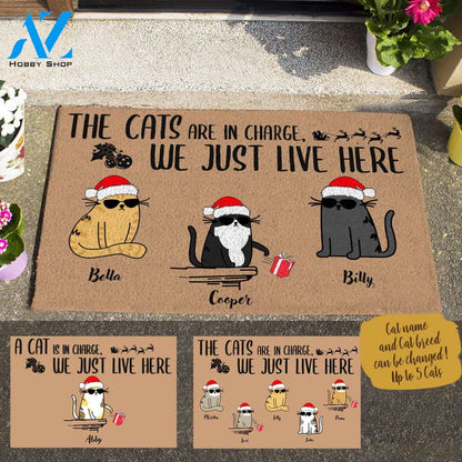 Xmas Cool Cat, The Cats Are In Charge We Just Live Here, Personalized Doormat Gift For Christmas HQ