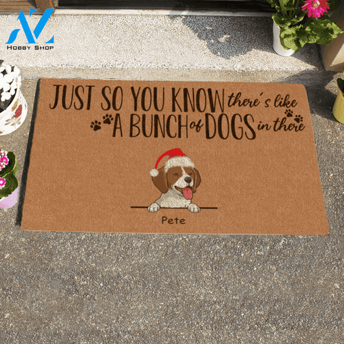 Xmas Cute Dog And Cat Custom Name Printed Doormat Home Decor
