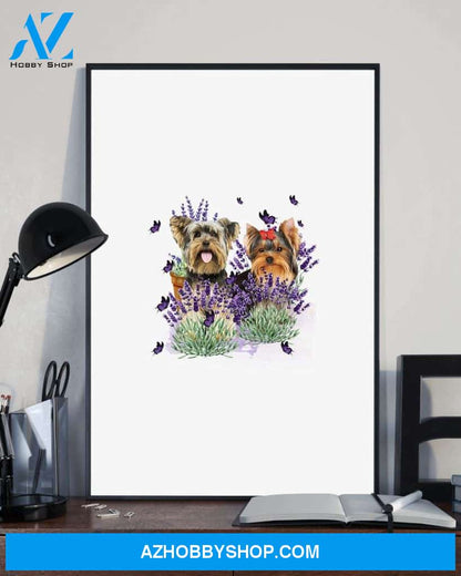 Yorkshire Terrier with lavender flower poster