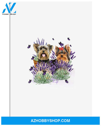 Yorkshire Terrier with lavender flower poster