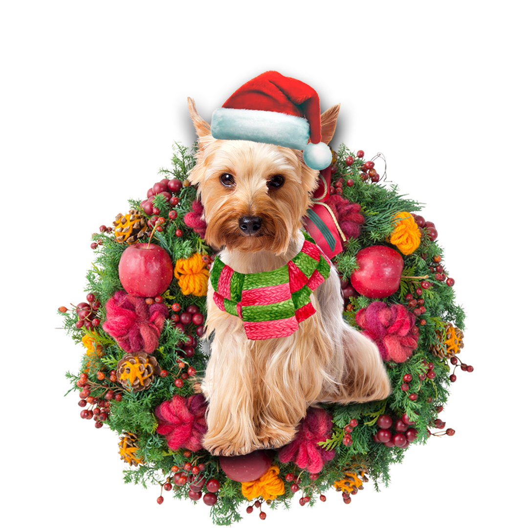 Godmerch- Ornament- Yorkshire Terrier Christmas Ornament, Happy Christmas Ornament, Car Ornament