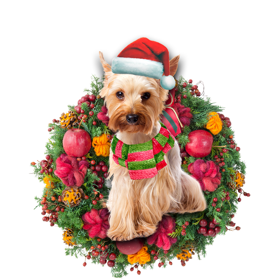 Godmerch- Ornament- Yorkshire Terrier Christmas Ornament, Happy Christmas Ornament, Car Ornament